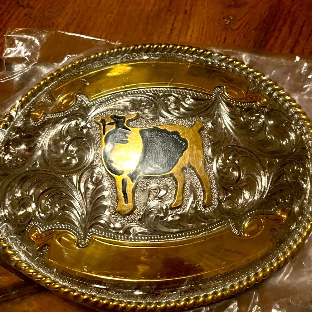 Belt Buckle